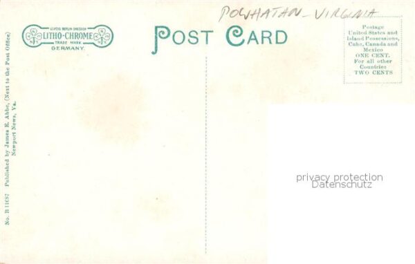 Powhatan Virginia USA Alter Baum – Bild 2
