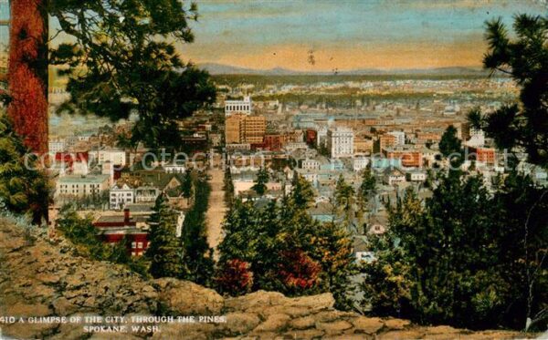 Spokane Washington USA Aid a glimpse of the City Through the pines