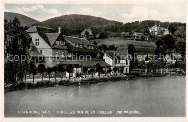 Ilsenburg Harz Hotel Zu den roten Forellen und Waldhoehe