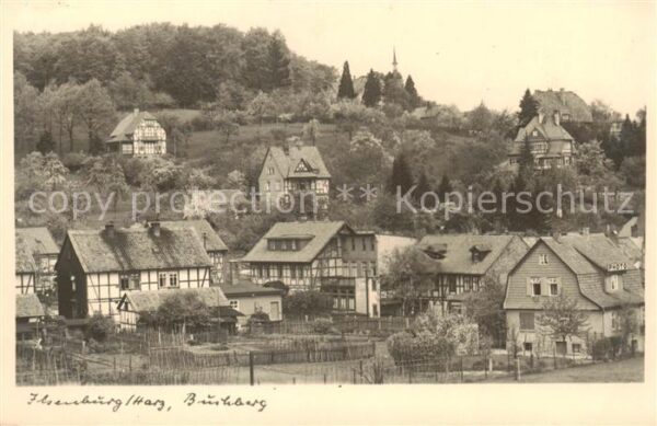 Ilsenburg Harz Burkberg