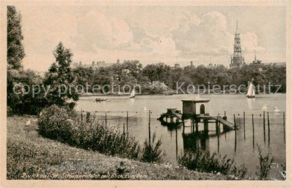 Zwickau  Sachsen Schwanenteich mit Domblick