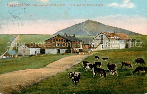 Schreiberhau Szklarska Poreba Riesengebirge PL Wiesenbaude mit Blick zur Schneek