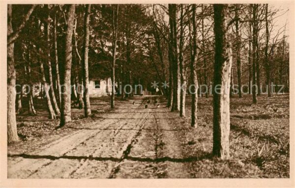 Stampnitza Stepnica PL Nr. 10 Waldweg am Forsthaus Serie Unseres liebes Oberschl