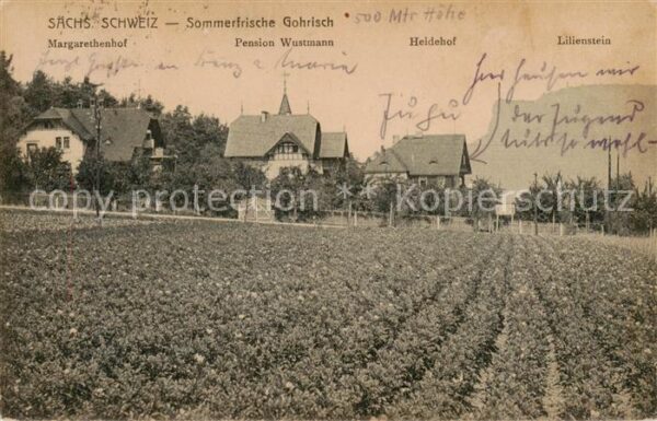 Gohrisch Margarethenhof Pension Wustmann Heidehof Lilienstein Elbsandsteingebirg