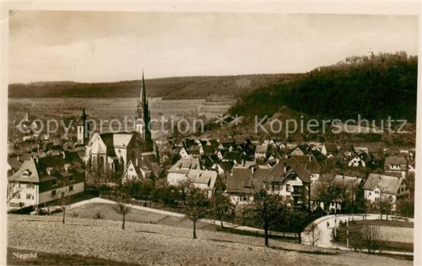 Nagold Panorama