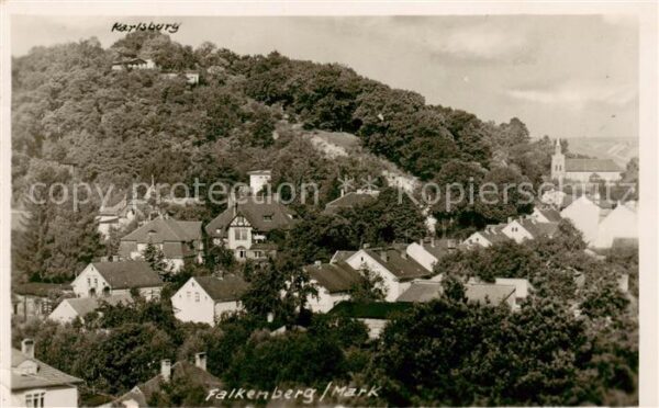 Falkenberg Mark Panorama mit Karlsberg