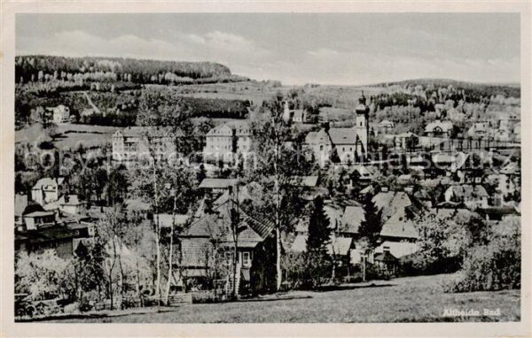 Altheide Bad Schlesien PL Panorama