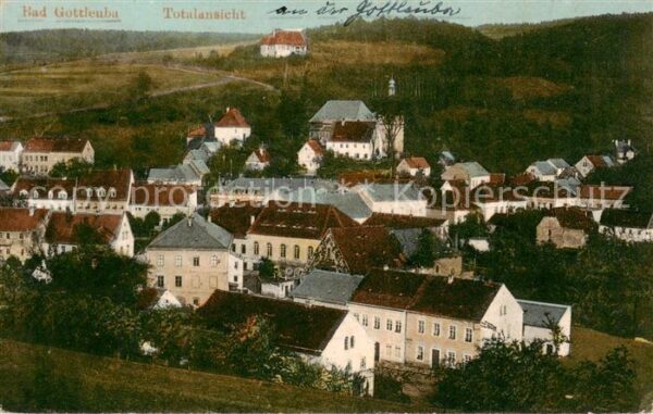 Bad Gottleuba-Berggiesshuebel Panorama