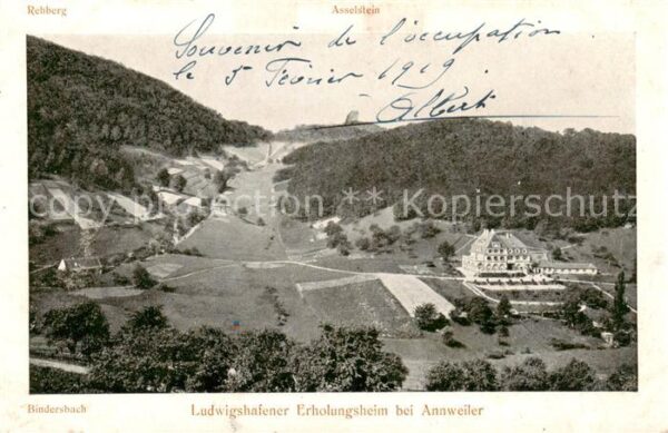 Annweiler Trifels Ludwigshafener Erholungsheim  Panorama
