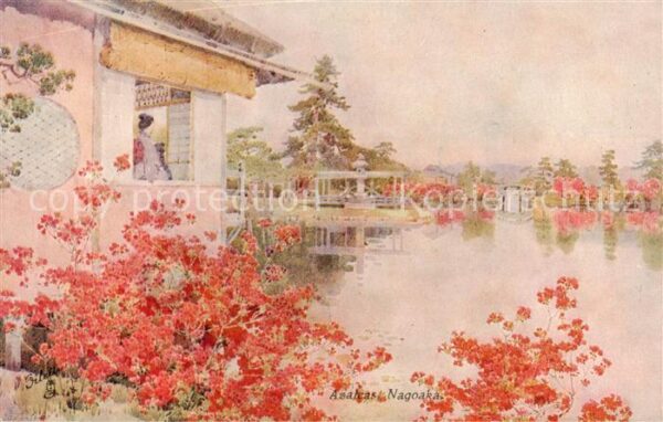 Nagoaka Japan Azaleas