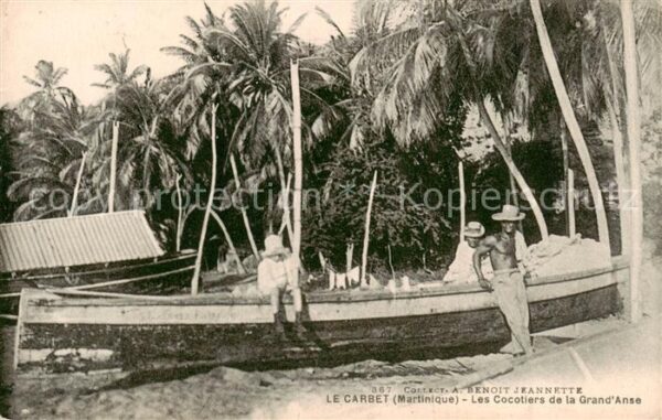 Le Carbet Martinique Les Cocotiers de la Grand Anse