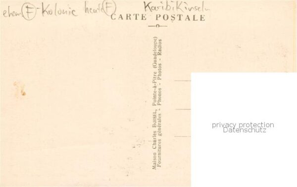 Guadeloupe Reculte de la Canne a sucre – Bild 2