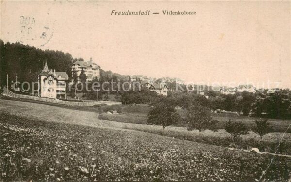 Freudenstadt Videnkolonie