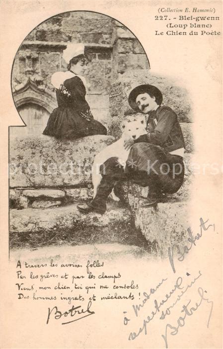 Hunde Loup Blanc weisser Wolf