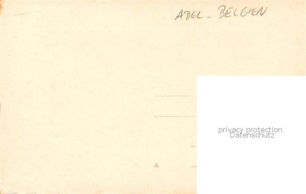 Adel Belgien Favresse Paul Roi Albert Reine Eusabeth – Bild 2