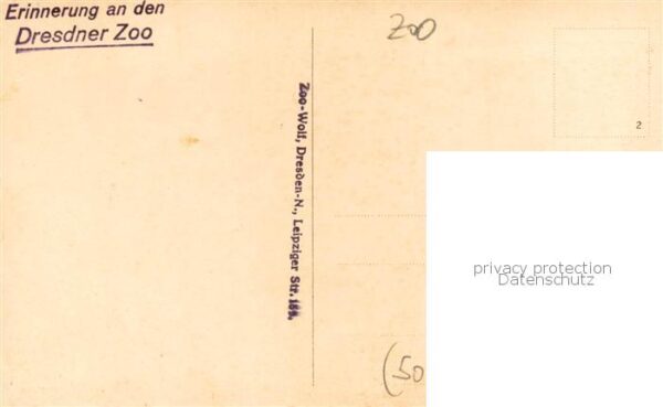 Zoo Dresdner Zoo – Bild 2