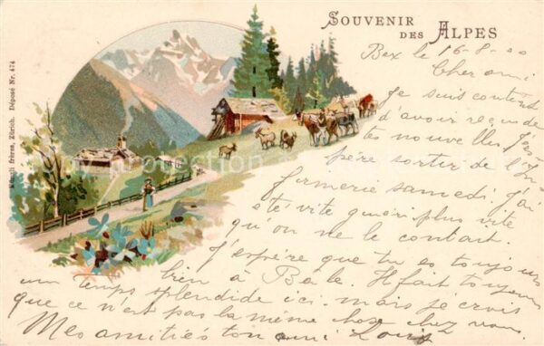 Verlag Kuenzli Zuerich Nr. Nr. 474 Tiere au der Weide