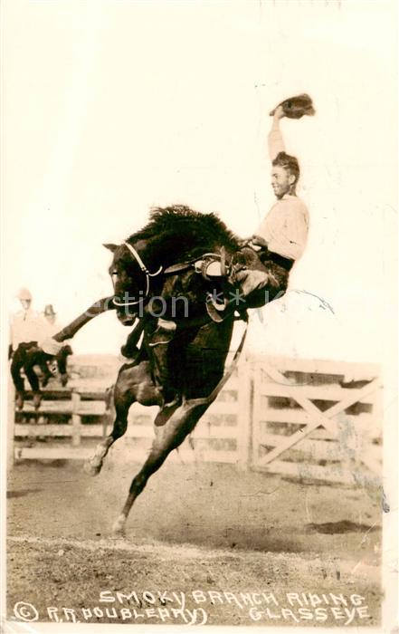 Pferde Smoky Branch Ribing Auf dem Pferd Reiten