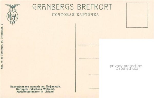 Landwirtschaft Kartoffelaufnahme in Livland – Bild 2
