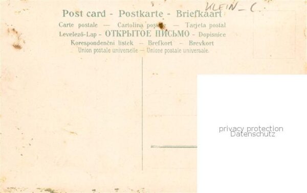 Klein Catharina Kuenstlerlitho Weintrauben – Bild 2