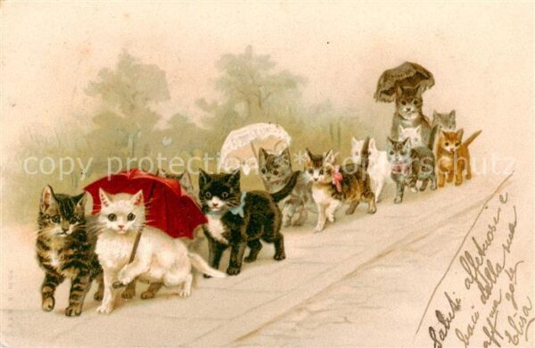 Vermenschlicht Katzen Mit Regenschirm