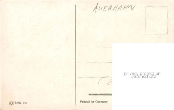 Auerhahn  Grouse-- Donodini Dresden – Bild 2