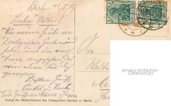Zoo Gardin Zoologique-- Berlin Loewe – Bild 2