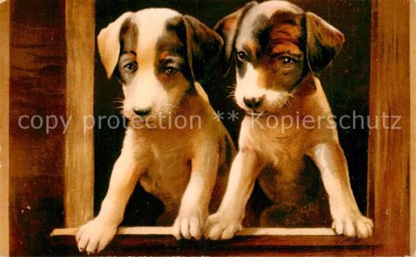 Hunde dogs chiens Neujahr 1908