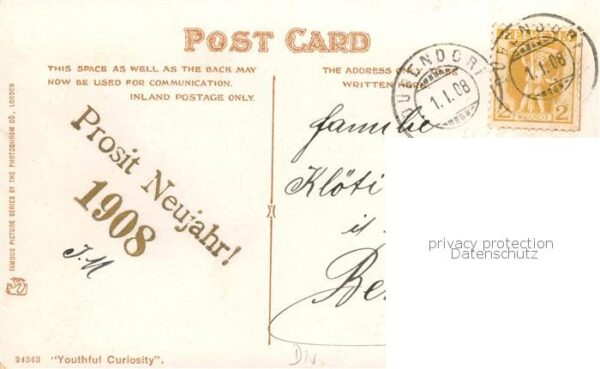 Hunde dogs chiens Neujahr 1908 – Bild 2
