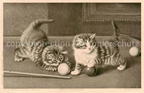 Katzen H.H.Couldery Pinx