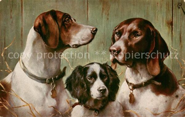 Hunde dogs chiens T.S.N. Serie 1233 pouse