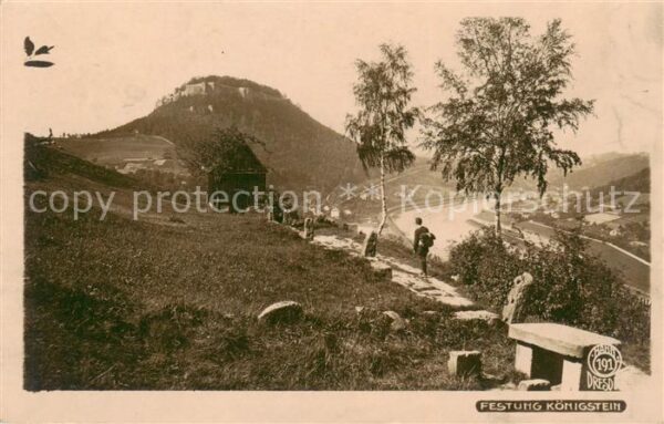 Foto Hahn Nr. Nr.191 Festung Koenigstein Saechs.Schweiz