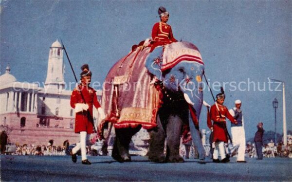 Elefant Indien