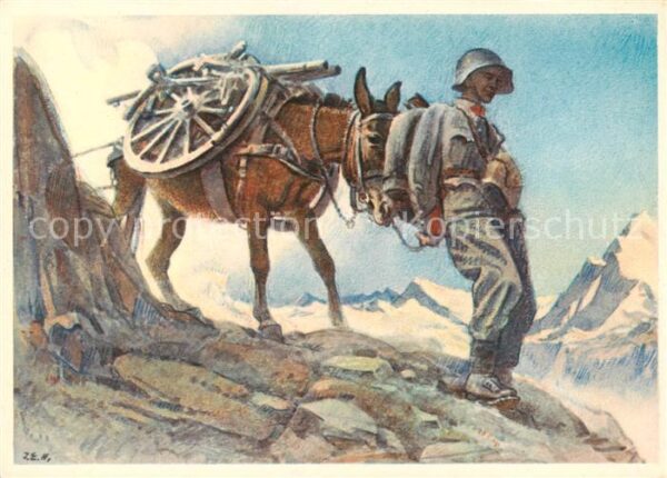 Gebirgsjaeger Chasseur Alpins Mountaineers Schweiz Geb.-Art. Radtier Essel