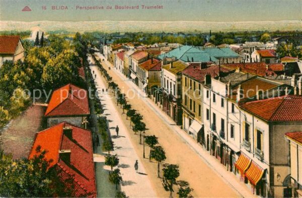 Blida Algerie Perspective du Boulevard Trumelet