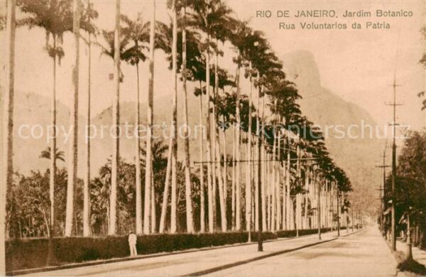 Rio de Janeiro Jardim Botanico Rua Voluntarios da Patria