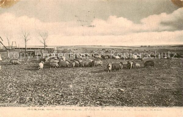Cuba Kansas USA Scene on Mc Donald Stock Farm
