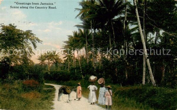 Jamaica  Caribic Scene along the Country Road
