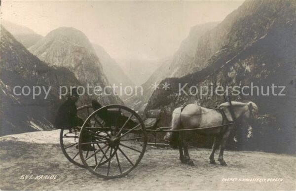 Bergen Norwegen Kariol