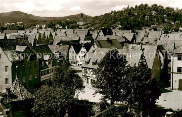 Hersbruck mit Hansgoergl und Michaelsberg