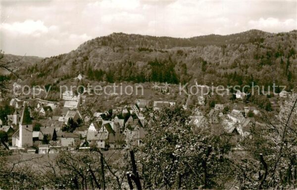 Eschenbach Mittelfranken Panorama