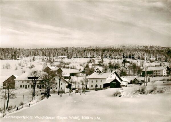 Waldhaeuser Neuschoenau Winterpanorama