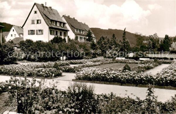 Hersbruck Rosengarten beim Strudelbad