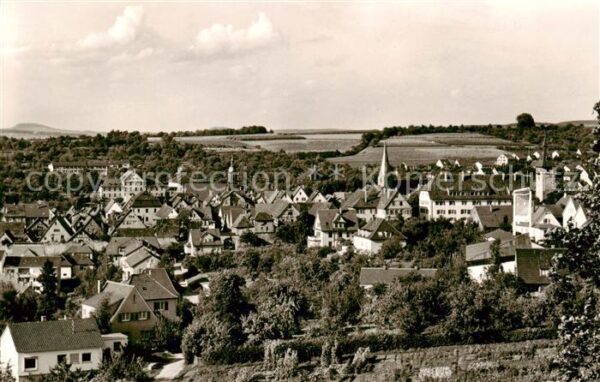 Marbach  Neckar Panorama