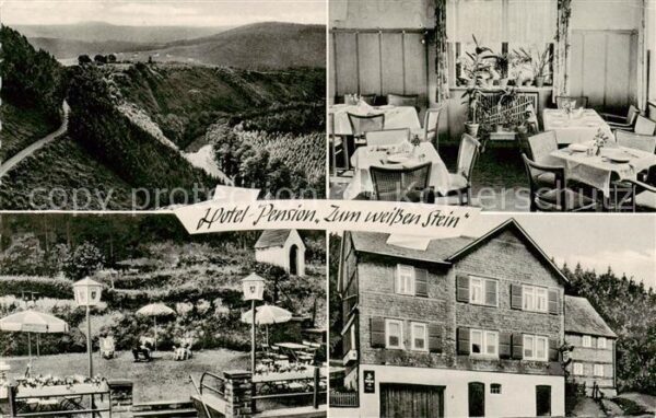 Katzenbach Sieg Hotel Pension Zum weissen Stein Gaststube Panorama