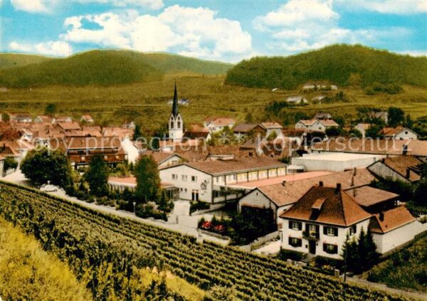 Bickensohl Kaiserstuhl Panorama