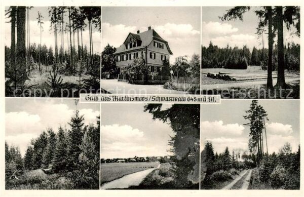 Martinsmoos Neubulach BW Pension Kuebler Waldpartien