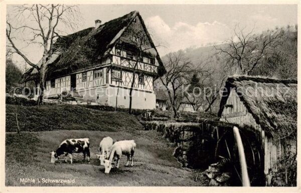 Achern Baden Schwarzwald Muehle