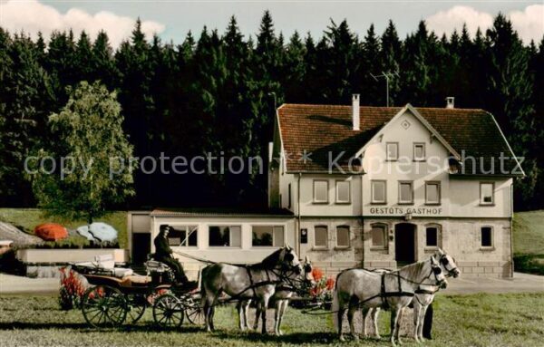 Marbach Lahn Gestuets Gasthof und Pension Pferdegespann