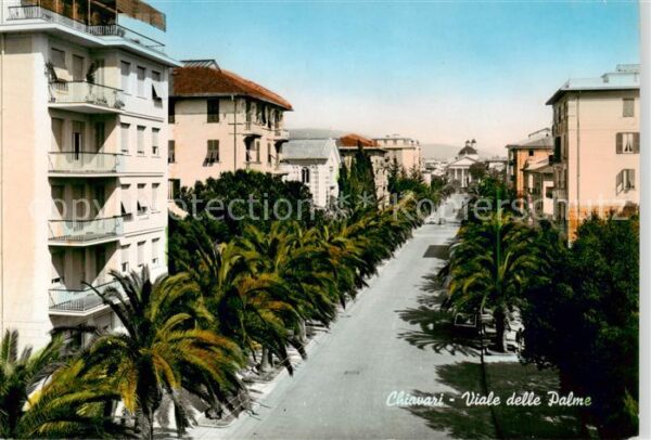 Chiavari IT Viale delle Palme